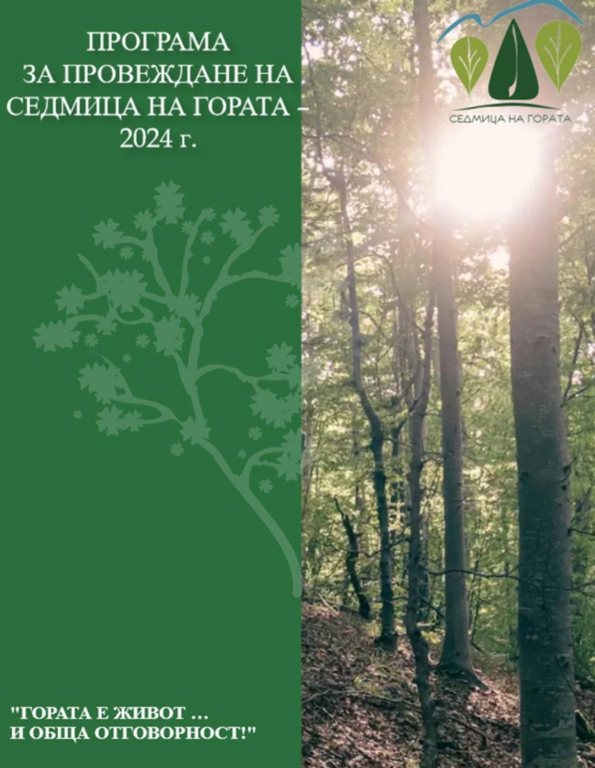 forest